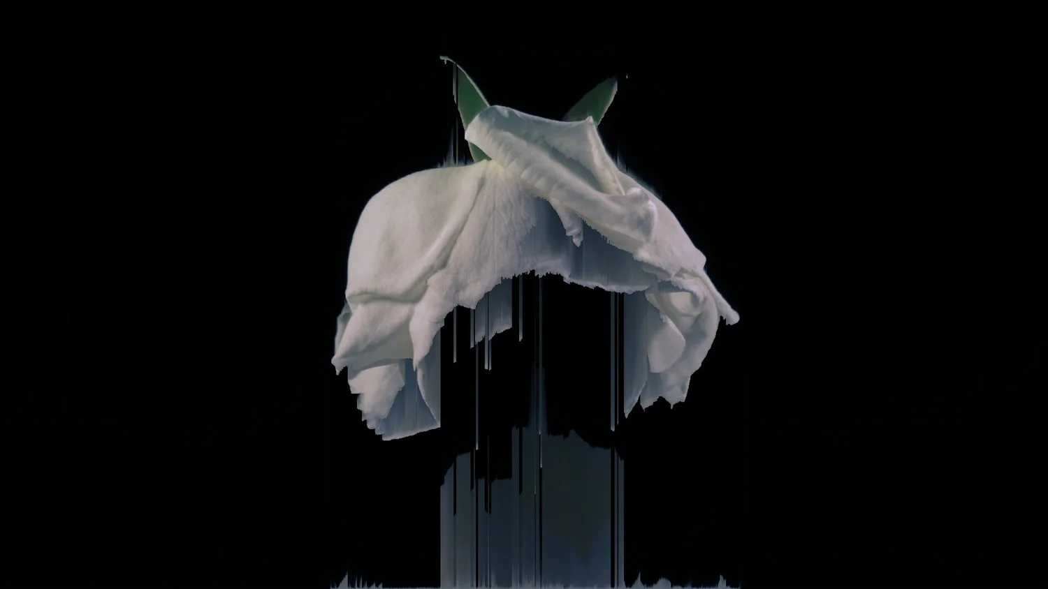 Still from Flow