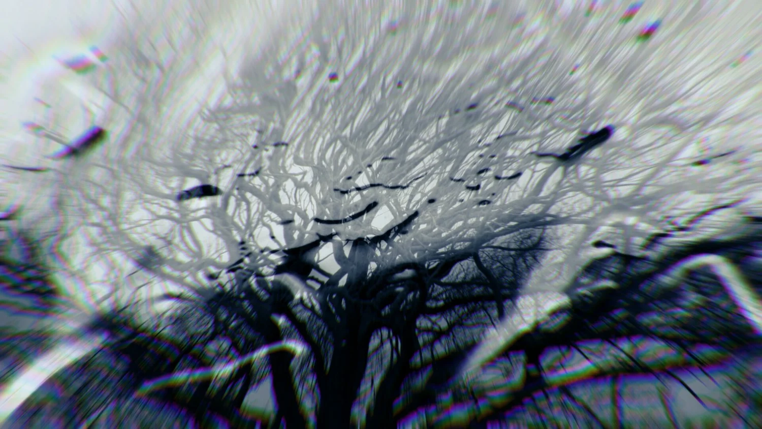 Still from Salt Point