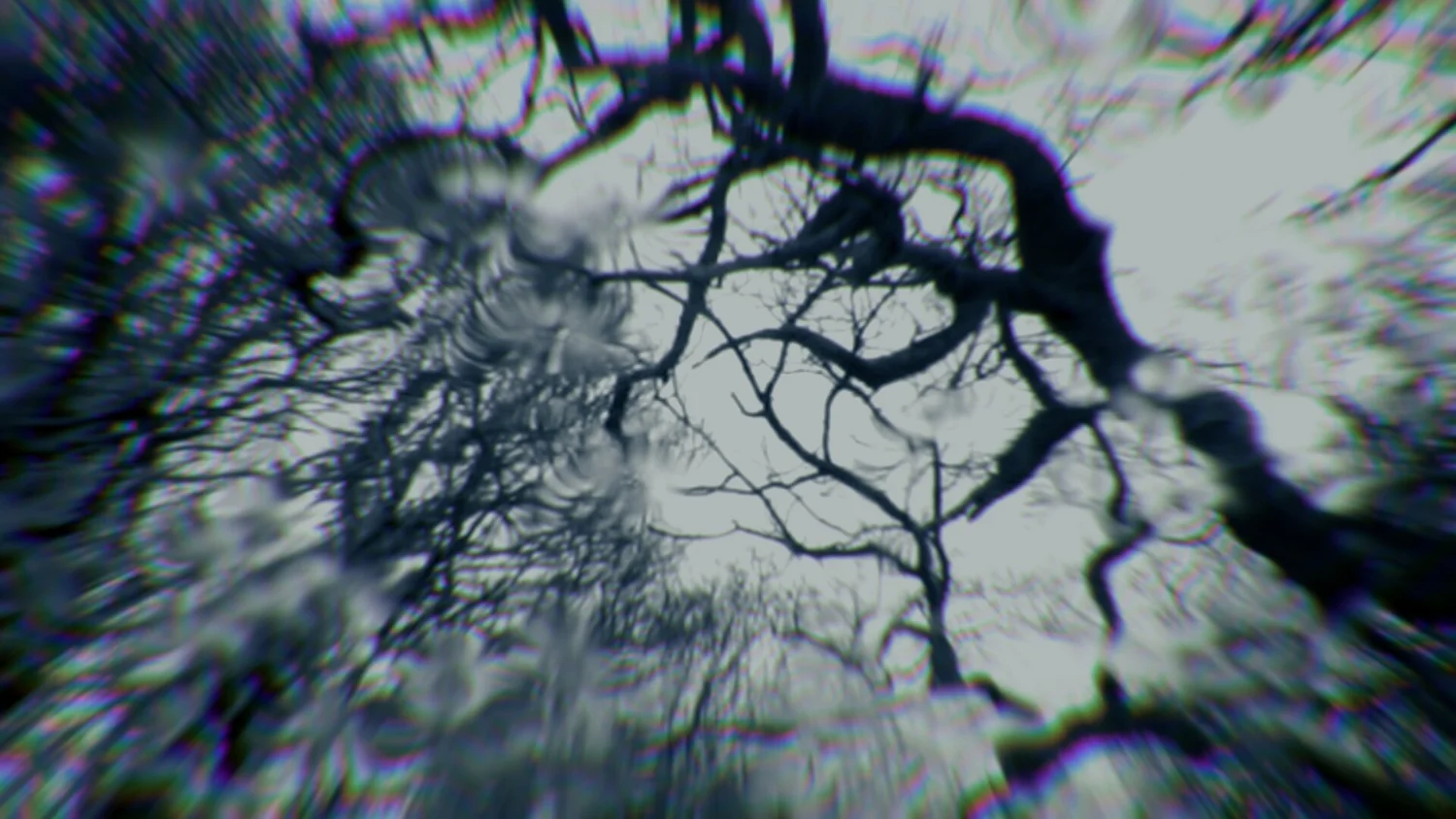Still from Salt Point
