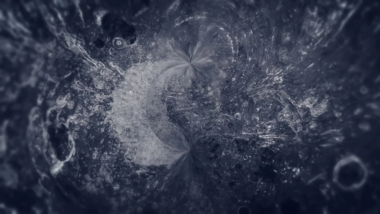 Still from Seedling