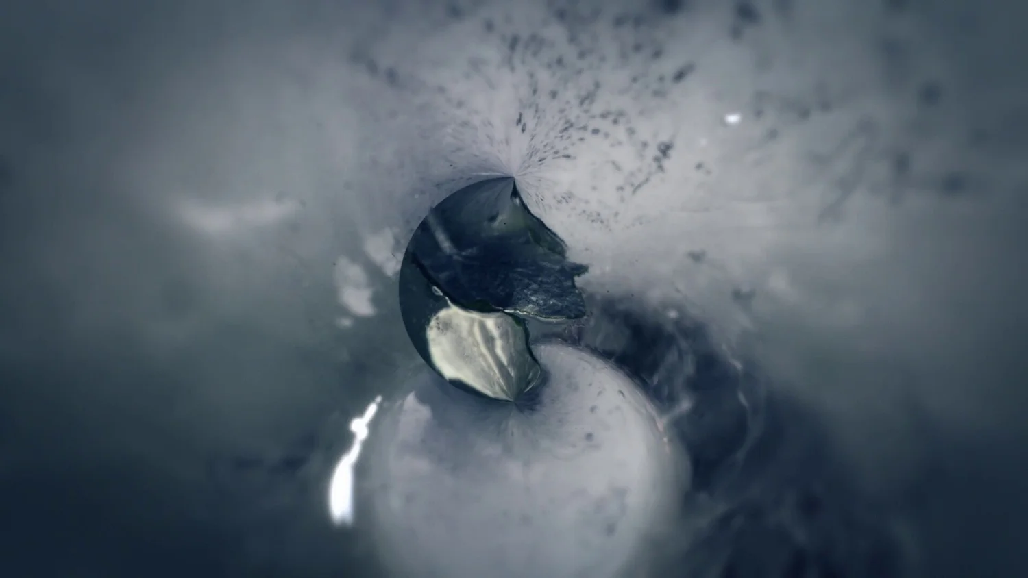Still from Seedling