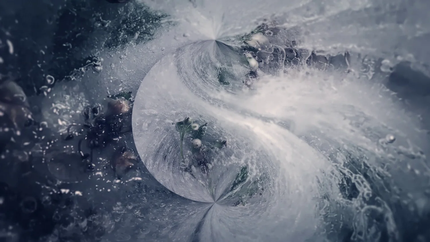 Still from Seedling
