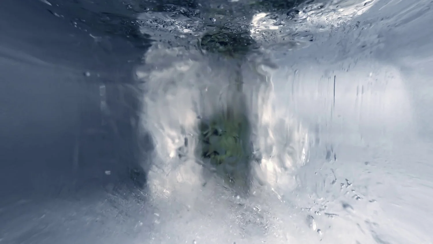 Still from Seedling