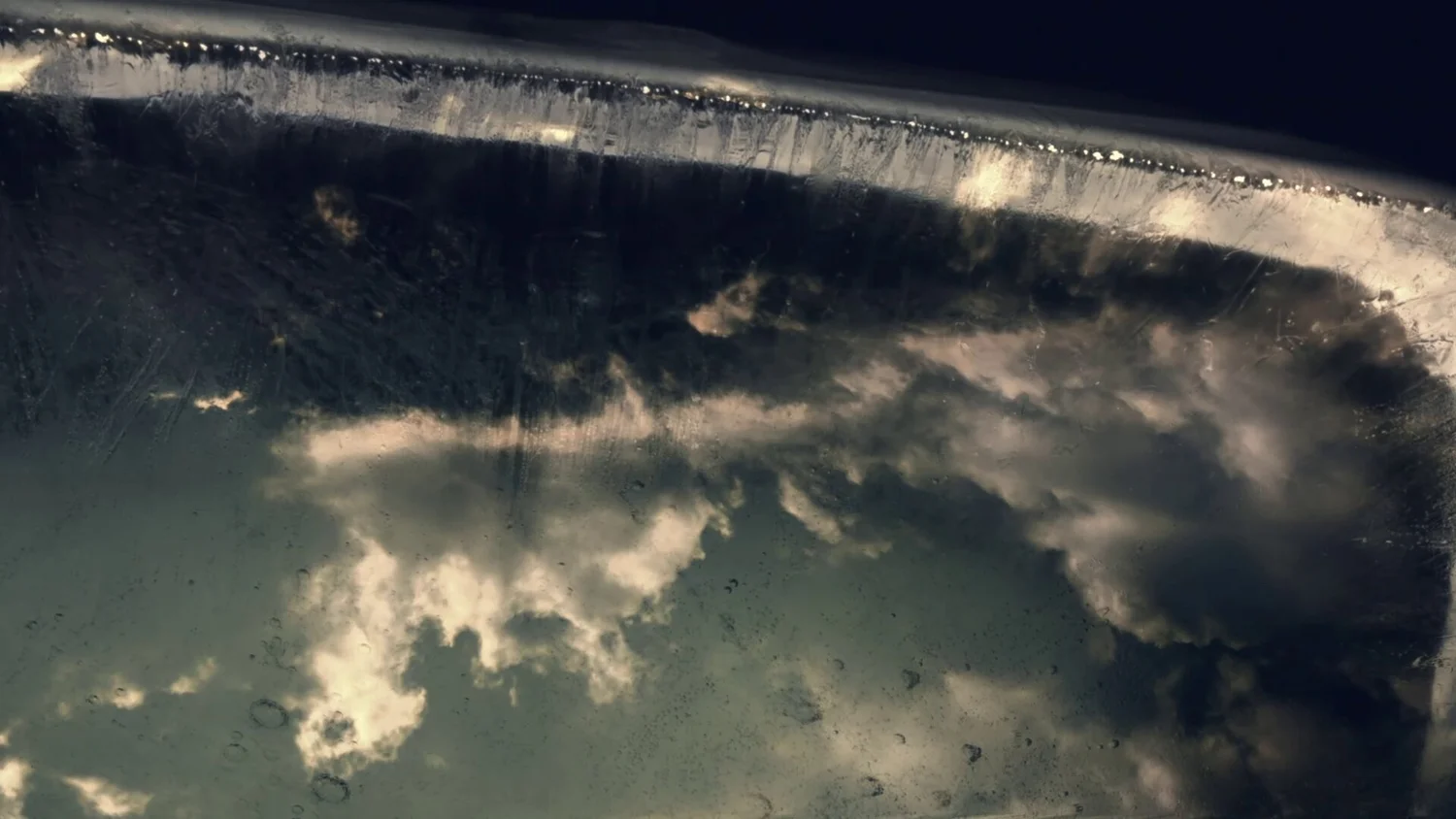 Still from Seedling