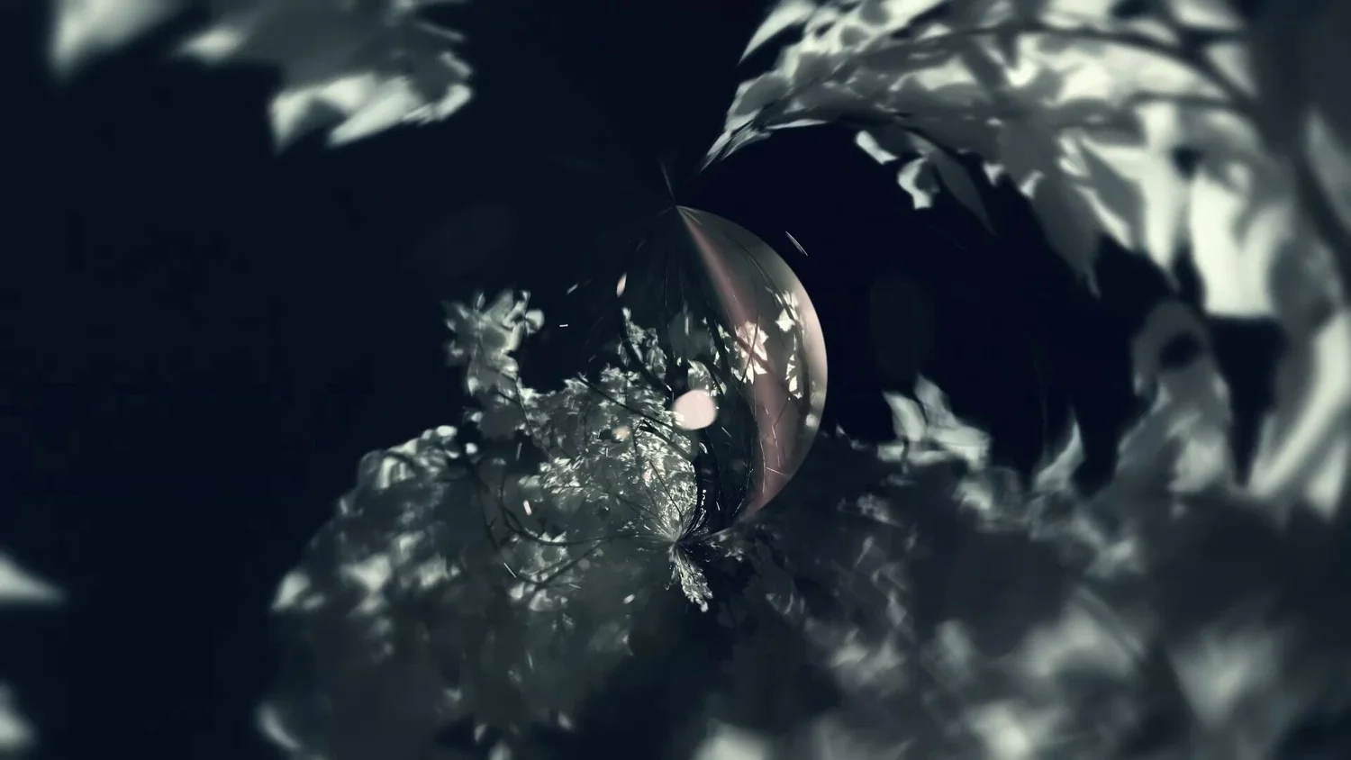 Still from Seedling