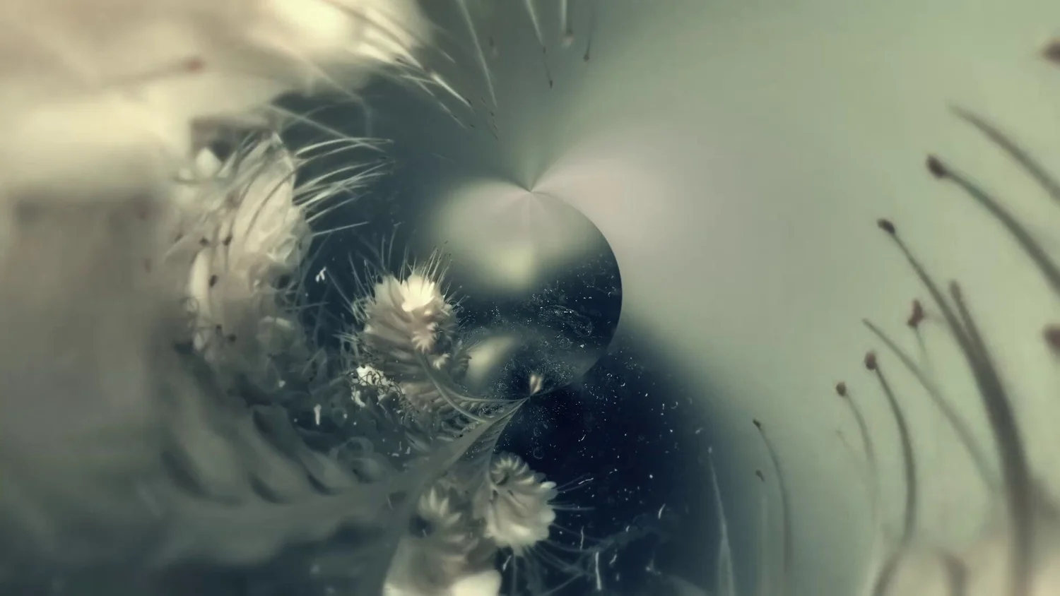 Still from Seedling