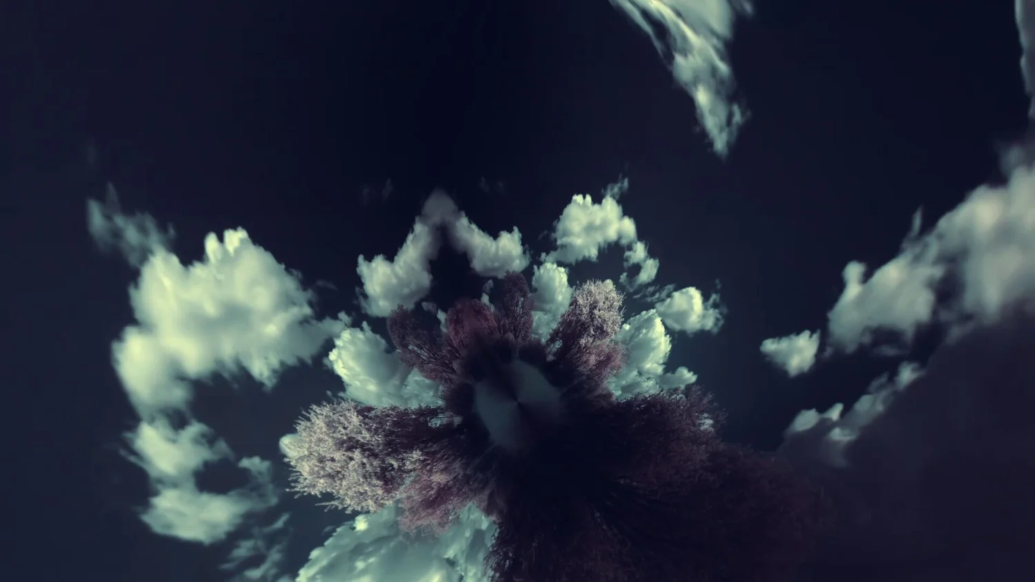 Still from Seedling