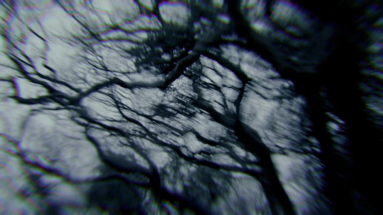 Still from Salt Point