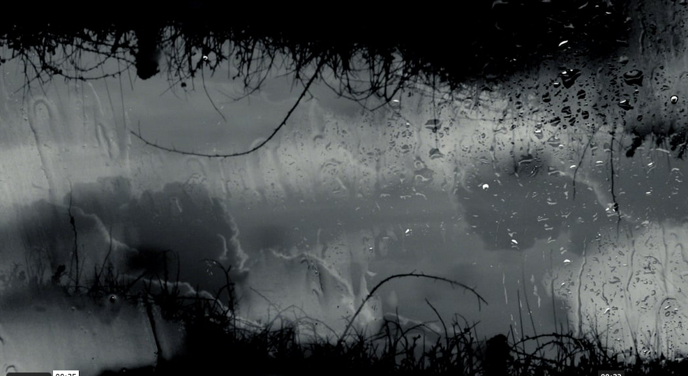Still from The World Is a Vibration
